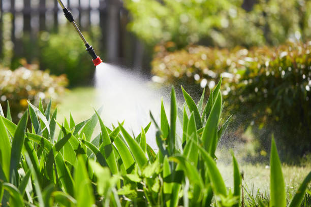 24/7 Emergency Mosquito Control experts in Kennedy, CA