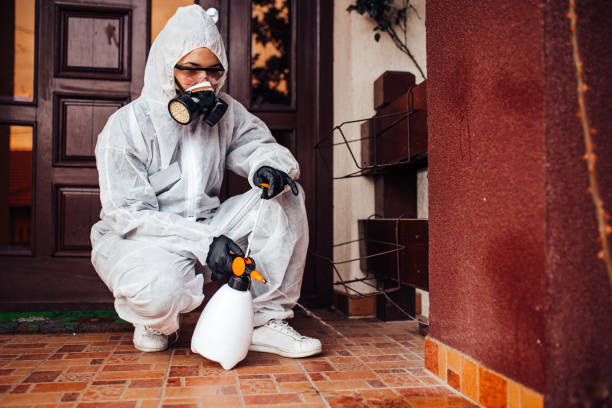 Reliable Mosquito Control contractor in Kennedy, CA by Nex Pest Control